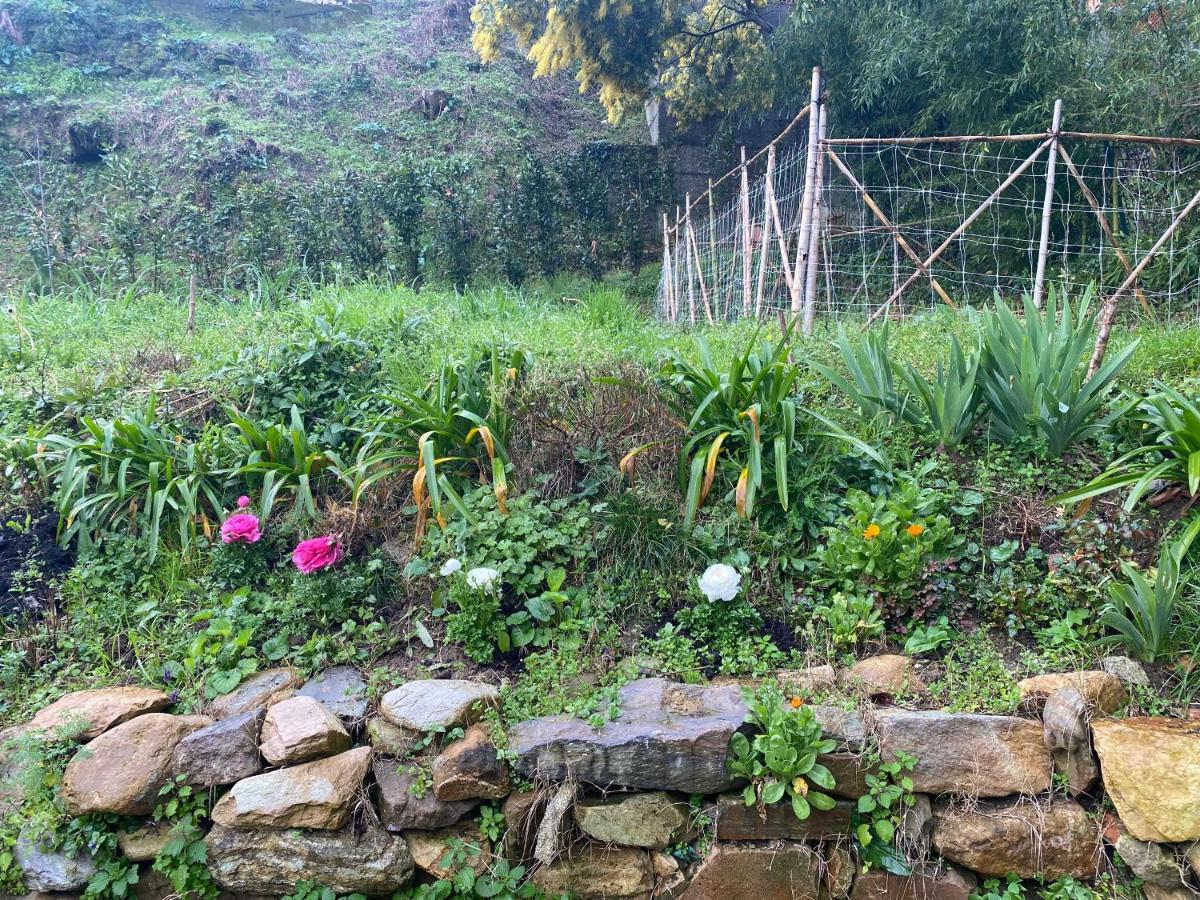 Dolce Vita In Tuscany B&B Capannori Eksteriør billede